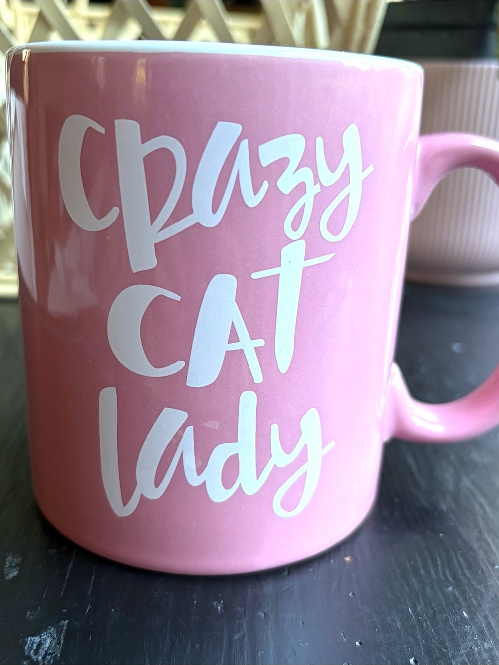 Crazy Cat Lady Pino Mug Coffee Cup